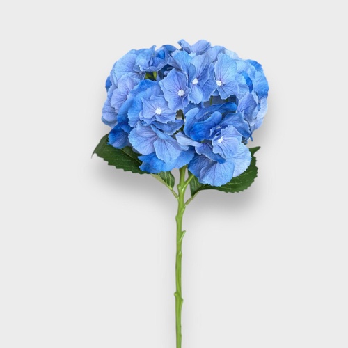 HYDRANGEA BLUE HF1791BLU