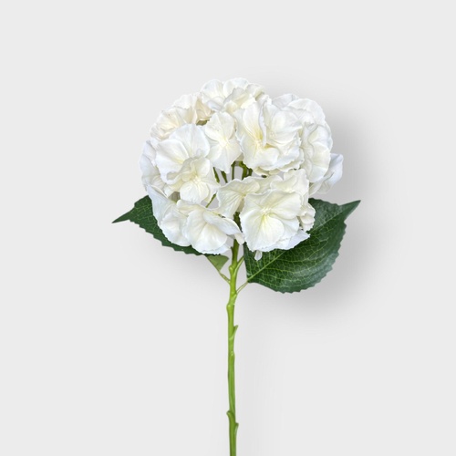 HYDRANGEA CREAM HF1791CRM-2