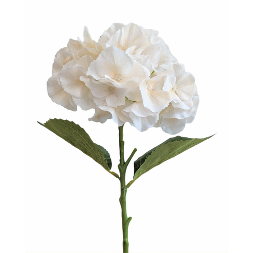 HYDRANGEA CREAM HF1791CRM