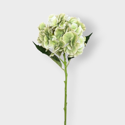 HYDRANGEA GREEN HF1791GRN-3