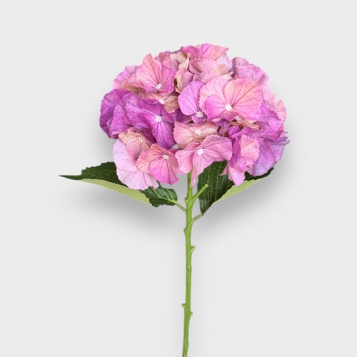 HYDRANGEA PINK HF1791PNK
