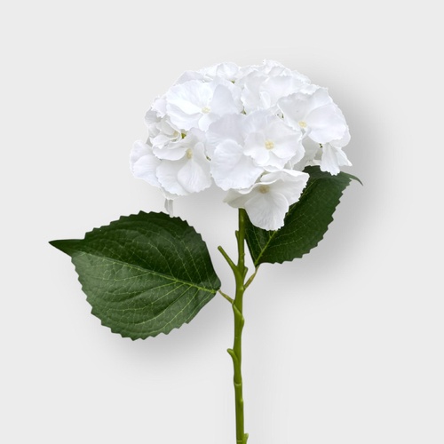 HYDRANGEA WHITE HF1791WHT