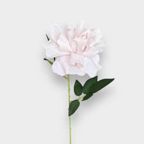 Lady Velvet Rose HF1793L-PNK