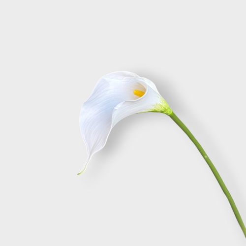 Calla Lily 50cm HF1802WHT-S