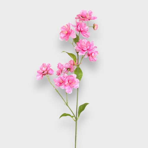 Peach Blossom HF1808PNK