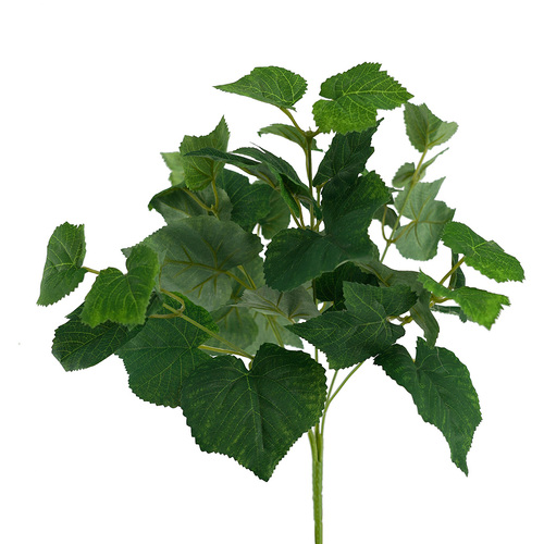 Ivy Bush HF1824GRN