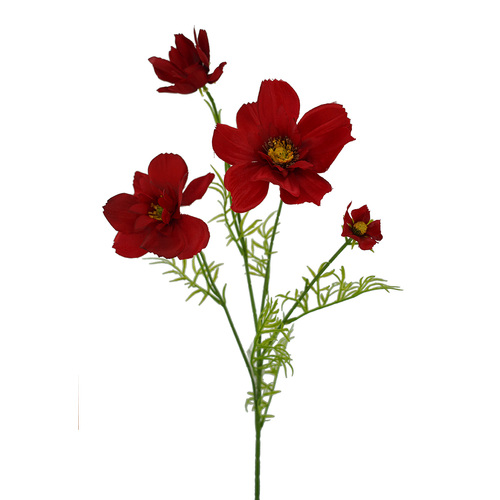 Cosmos Spray HF1832RED