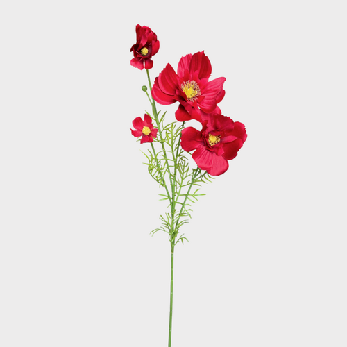 Cosmos Spray HF1832RED