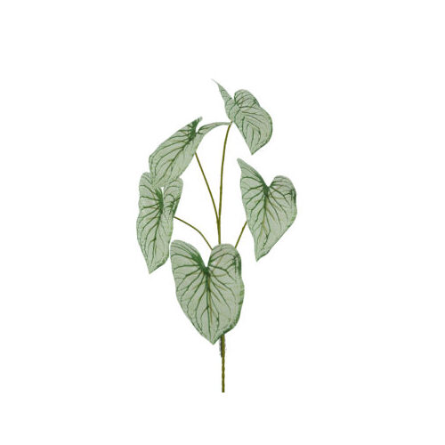 Calladium Leaf Bunch W-GRN HF1842