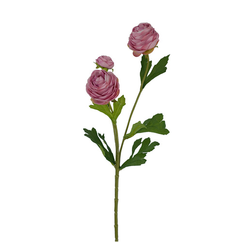 Mini Ranunculus HF1855-PNK