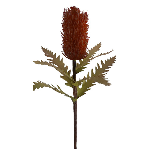 Banksia Stem HF1869RED