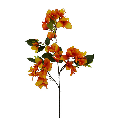 Bougainvillea HF1876ORG