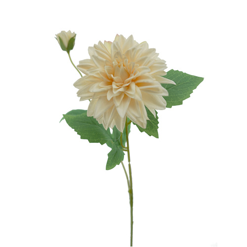 Single Dahlia Silk HF1881CRM