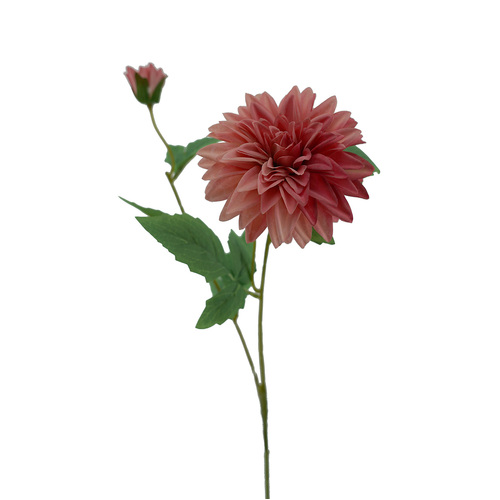 Single Dahlia Silk HF1881PNK