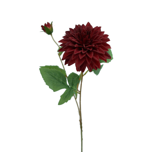 Single Dahlia HF1881RED
