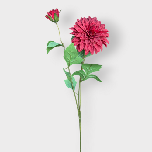 Single Dahlia HF1881RED