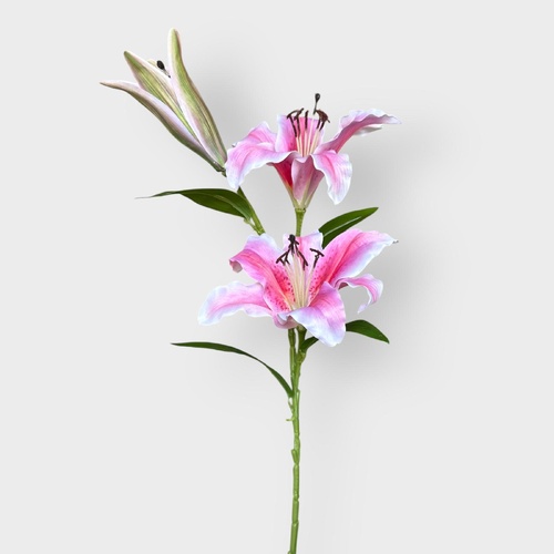 Casablanca Lily Spray HF1916PNK