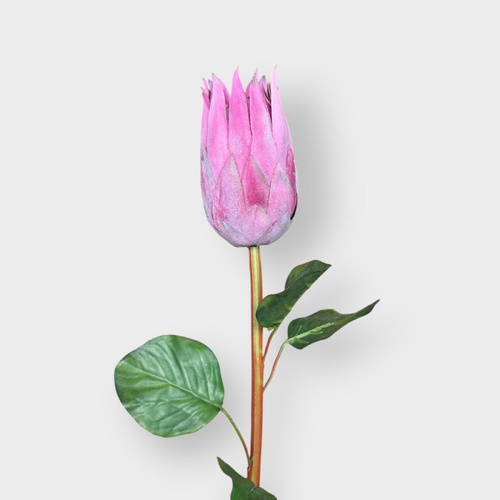 Single Protea HF1920PNK