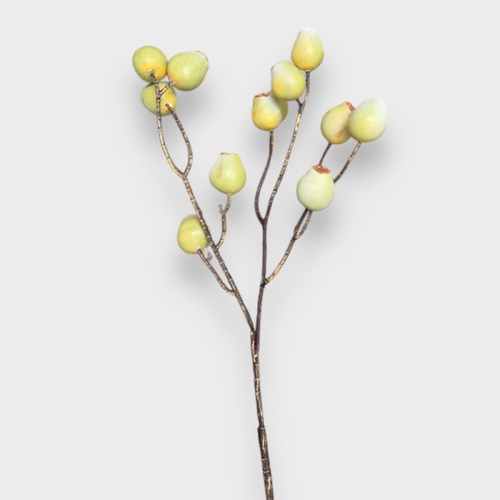 Gumnut Spray HF1933GRN