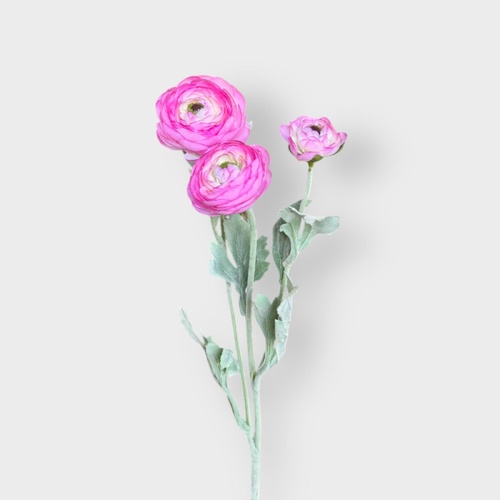 Ranunculus Spray HF1938D-PNK