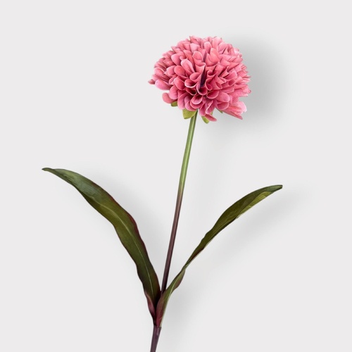Pompom Stem 72cm HF1968DUSP
