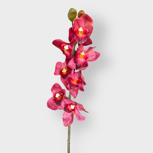 Cymbidium Orchid HF1977DP