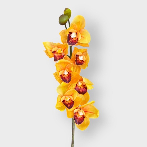 Cymbidium Orchid HF1977YEL