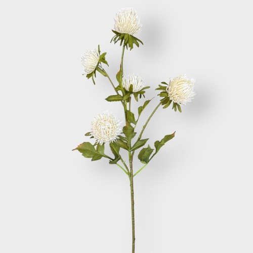 Thistle Spray HF1978CRM