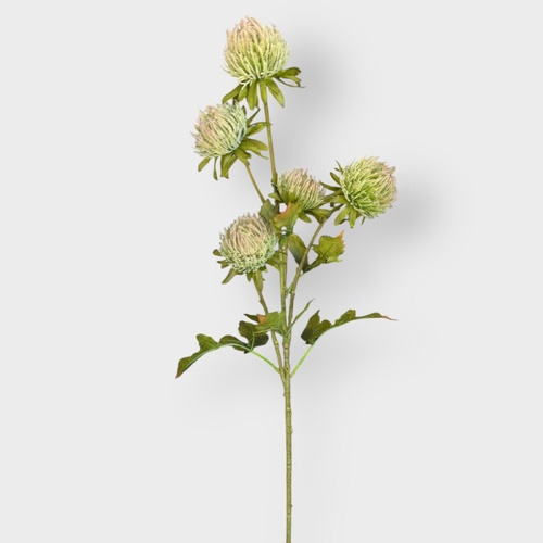 Thistle Spray HF1978GRN