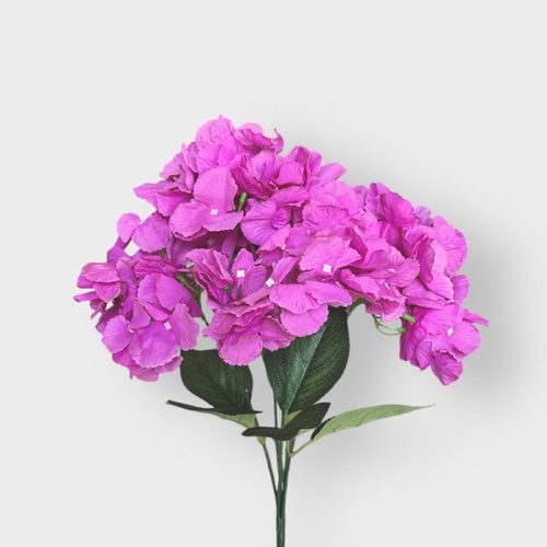 Hydrangea Bunch HF1996MAG