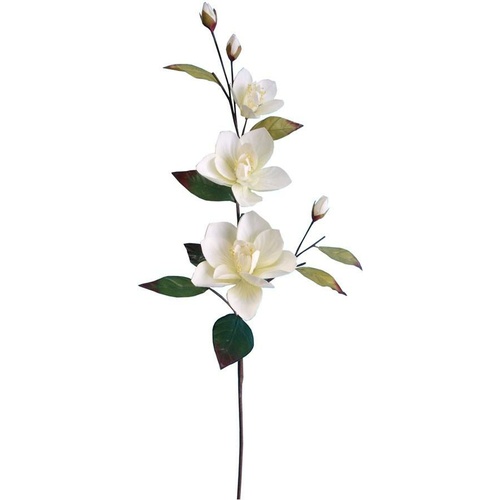 Magnolia Spray HF2414