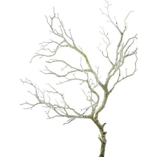 Branch HF3525WHT