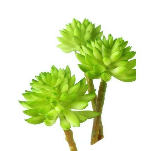 Tiny Succulent Pick HF3531-GR