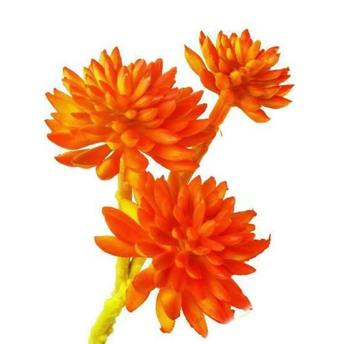 Tiny Succulent Pick HF3531-OR