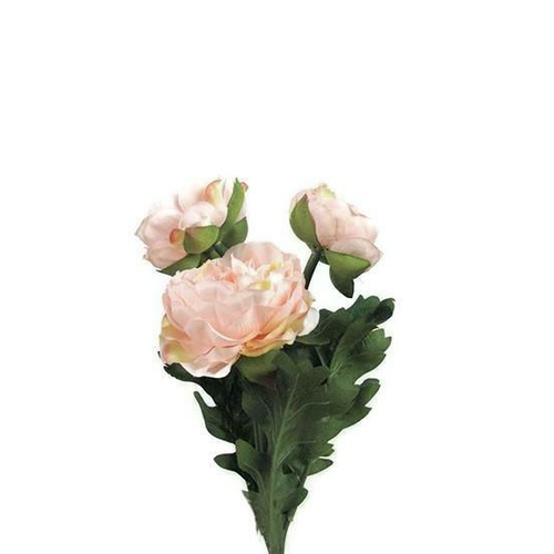 Ranunculus Spray HF3646-PCH