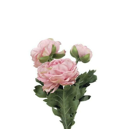 Ranunculus Spray HF3646-PNK
