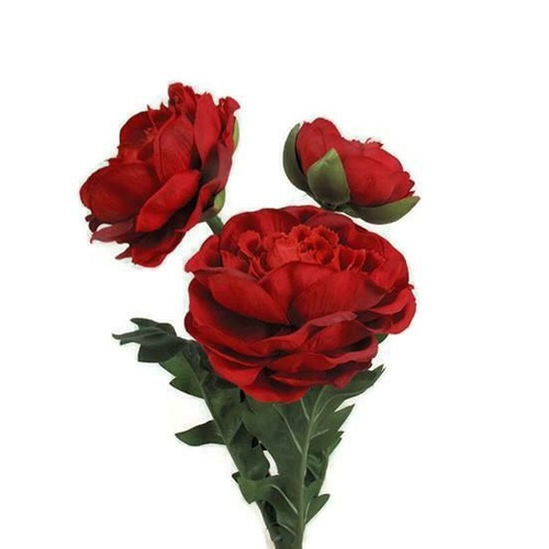 Ranunculus Spray HF3646-RD
