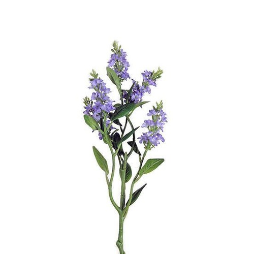 Clove Stem HF3740-LIL