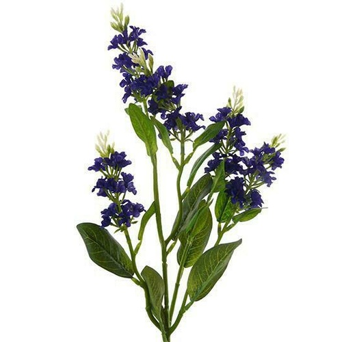 Clove Stem HF3740-PUR