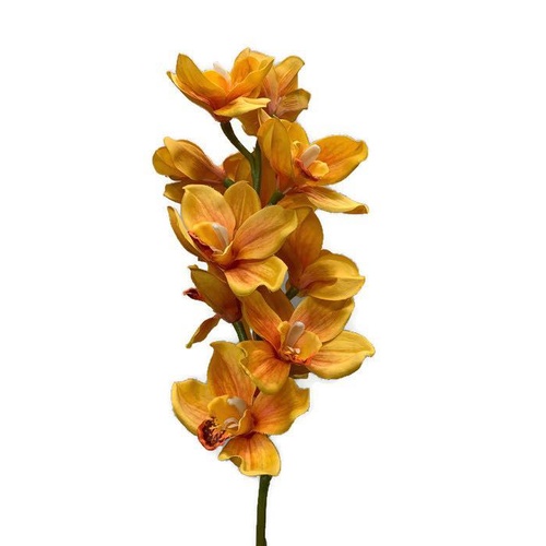 Cymbidium Orchid HF3786-OR