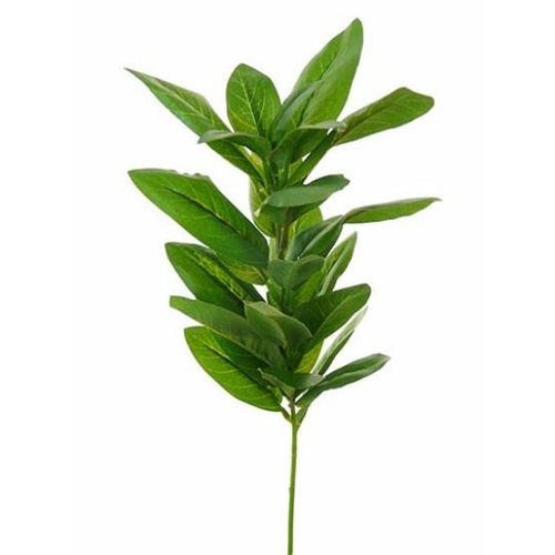 Leaf Spray HF3787