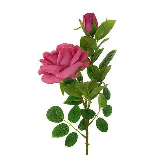 Rose Spray HF3791-HPNK