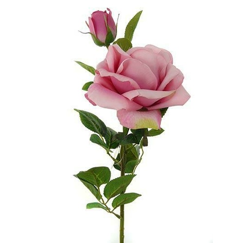 Rose Spray HF3791-LPNK