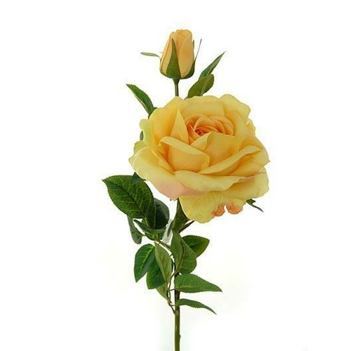 Rose Spray HF3791-YEL