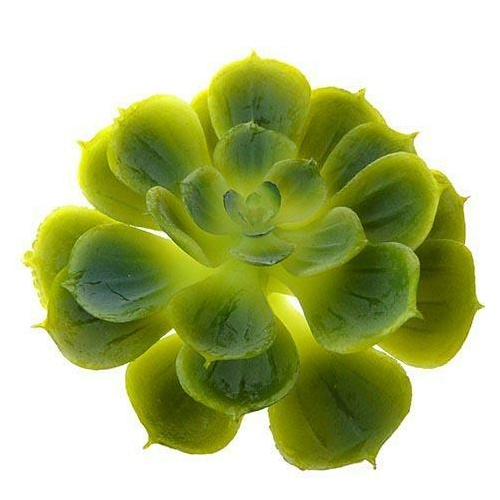 Real Touch Succulent HF3826_GRN