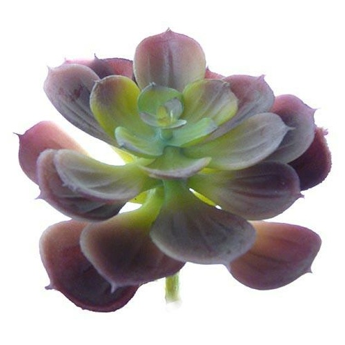Real Touch Succulent HF3826_RD