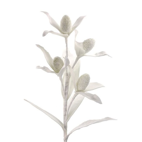 EXOTIC BERRY BUD SPRAY HF2863