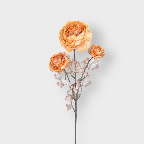 3H Ranunculus Spray HF3876-COF