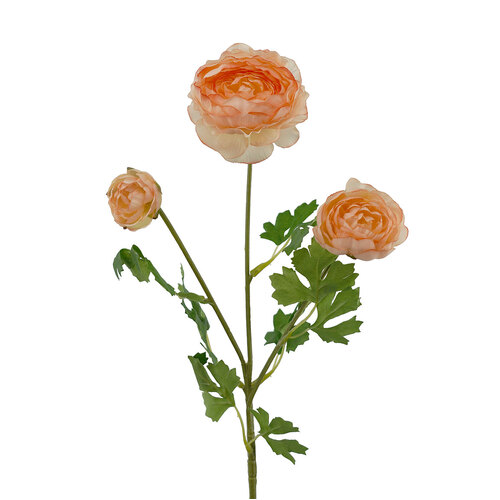 3H Ranunculus Spray HF3876-COR