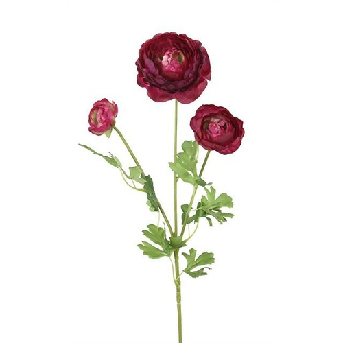 3H Ranunculus Spray HF3876-PUR